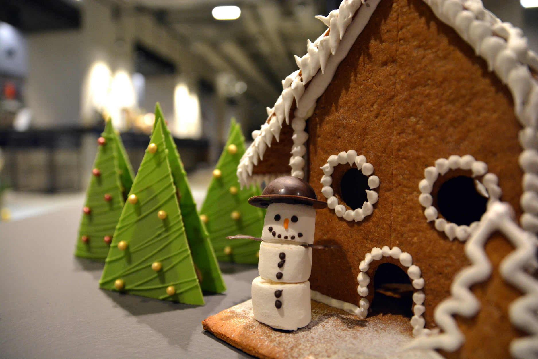 Mirza Selimović za doček Nove godine u hotelu Mona Plaza