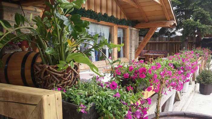 Savršen ručak u restoranu Solunac