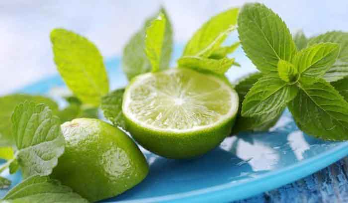 Najbolja dostava leda za Beograd