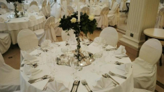 vila jelena srpska nova godina