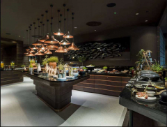 hotel radisson nova godina