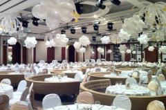 hotel hyatt docek nove godine
