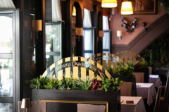 restoran velika skadarlija docek nove godine