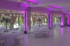 svecana sala kosuta docek nove godine