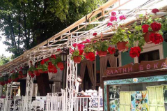 zlatni bokal matinee docek nove godine