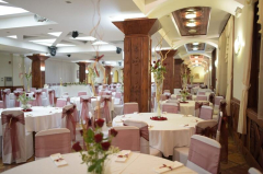 Hotel Balasevic docek Nove godine