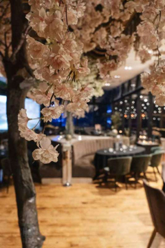 konzulat docek srpske nove godine