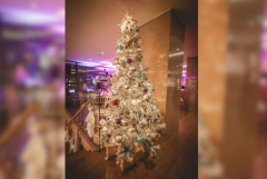 Hotel Courtyard Marriott Belgrade  doček Nove godine