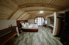 etno hotel balašević rtanj nova godina