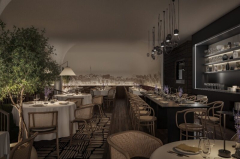 hotel radisson docek nove godine