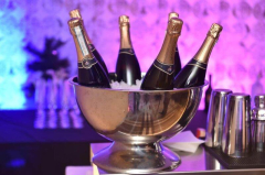 zijin hotel belgrade docek nove godine