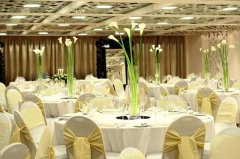 zijin hotel belgrade docek nove godine