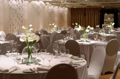 zijin hotel belgrade docek nove godine