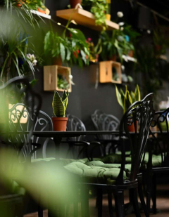 Foresta Belville Nova godina