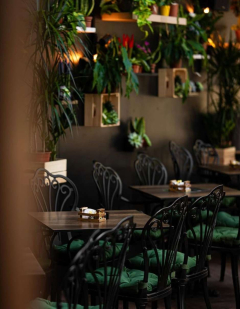 Foresta Belville Nova godina