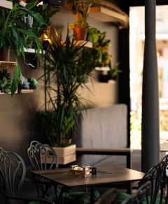 Foresta Belville Nova godina