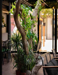 Foresta Belville Nova godina