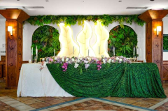 Hotel Balasevic docek Nove godine