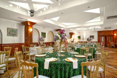 Hotel Balasevic docek Nove godine