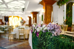 Hotel Balasevic docek Nove godine