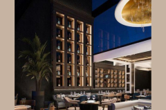 Dolly Bell Sava Centar Novogodišnji maraton